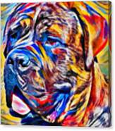 English Mastiff Head Close-up - Colorful Zebra Pattern Painting Canvas Print