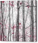 Entwined Gray Trees With Burgundy Leaves Canvas Print
