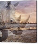 Every Animal Needs Protection And A Habitat Canvas Print