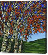 Fall Birch Stand Canvas Print