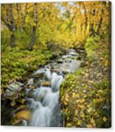 Fall Colors At Mcgee Creek Canvas Print