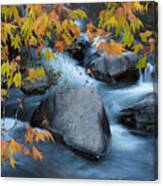 Fall Colors At Slide Rock Arizona Canvas Print