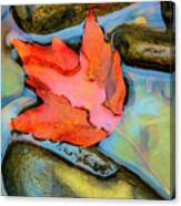 Fall Float Painting Canvas Print