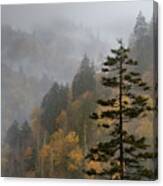 Fall In The Smoky Mountains Canvas Print