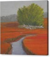 Fall Marsh Canvas Print