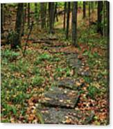 Fall Stone Pathway Canvas Print