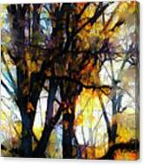 Fall Trees Canvas Print