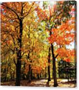 Fall Walkway Canvas Print