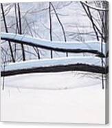 Fallen Winter Tree Canvas Print