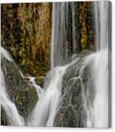 Falling Waters Canvas Print