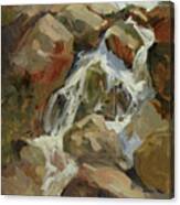 Falls On The West Fork Canvas Print