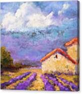 In The Midst Of Lavender I Canvas Print