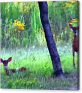 Fawns Waking Up Canvas Print