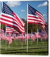 Field Of Honor Canvas Print