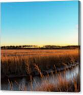 Fields Of Gold Canvas Print