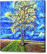 Field.tree Canvas Print