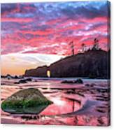 Fiery Sky Reflected In The Water In Oiympic National Park Canvas Print