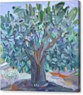 Fig Tree In Quarantine Painting Quarantine Plein Air Cat Fig Tree Backyard Background Beautiful Branch Bright Crown Environment Foliage Forest Green Growth Landscape Leaf Leaves Light Nature Old Canvas Print