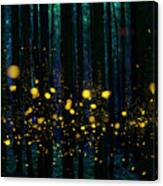Fireflies In The Night Forest Canvas Print