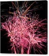 Fireworks - July 2021 - 19 Canvas Print