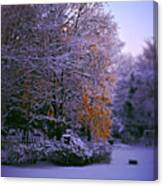 First Snow After Autumn - Square Canvas Print