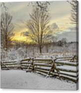 First Snow Canvas Print