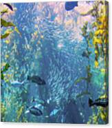 Fish In The Kelp Forest Canvas Print