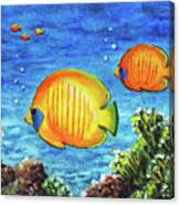 Fish Canvas Print