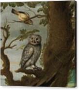 Flemish School  Century An Owl And A Hoopoe And Other Birds In A Tree Canvas Print
