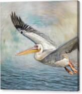 Flight Of A Great White Pelican Canvas Print