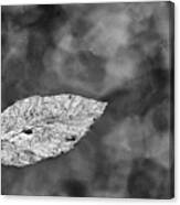Floating Leaf In Black And White Canvas Print