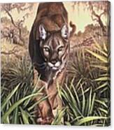 Florida Panther Canvas Print