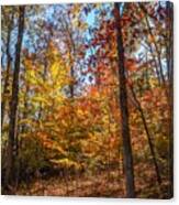Flovilla Hillside Tree Colorations Canvas Print