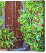 Flower Door Of Tuscany Canvas Print