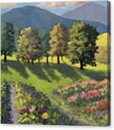 Flower Farm Canvas Print