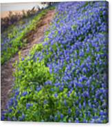 Flower Mound Canvas Print