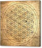 Flower Of Life_16 Canvas Print