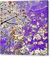 Flowering Tree Abstract Canvas Print