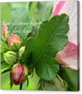 Hibiscus Flowers And Hope Canvas Print
