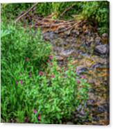 Flowers In A Mountain Stream Canvas Print