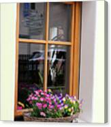 Flowers In Window In Italian Dolomites 8828 Canvas Print