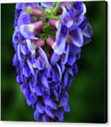 Flowers Photography-44 Canvas Print
