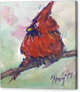 Fluffy Cardinal Canvas Print