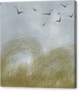 Fly Over The Rushes Canvas Print