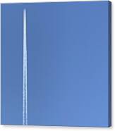 Fly The Blue Skies Canvas Print