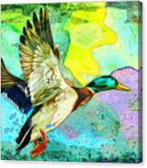 Flying Duck Madness Canvas Print