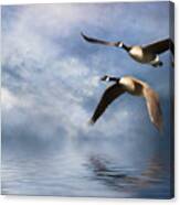 Flying Home Canvas Print