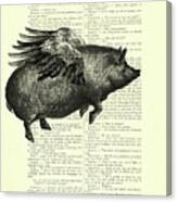 Flying Pig On Antique Book Page Canvas Print