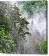 Fog In Valley 2 Canvas Print