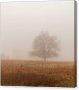 Fog On The Battlegrounds Of Gettysburg Pa Canvas Print